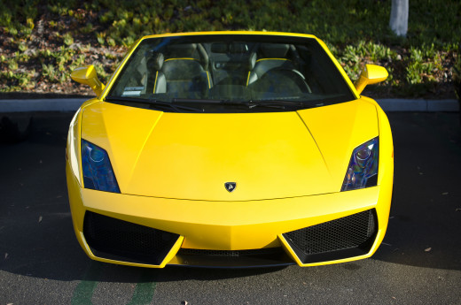 828532 (a): :2048x1357